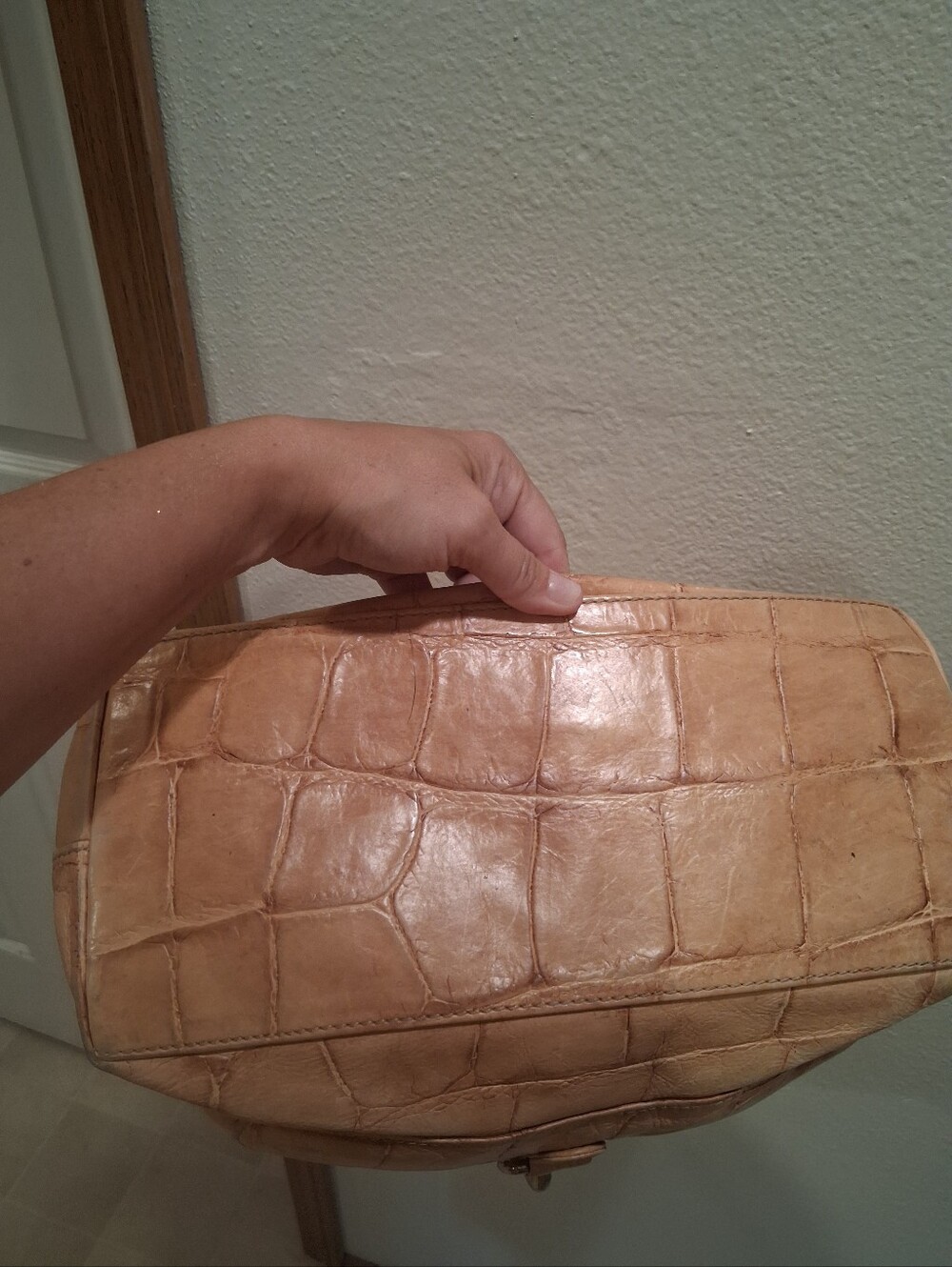 Dooney And Bourke Beige Croc-Embossed Shoulder Bag with Silver-Tone Hardware - Picture 7 of 9